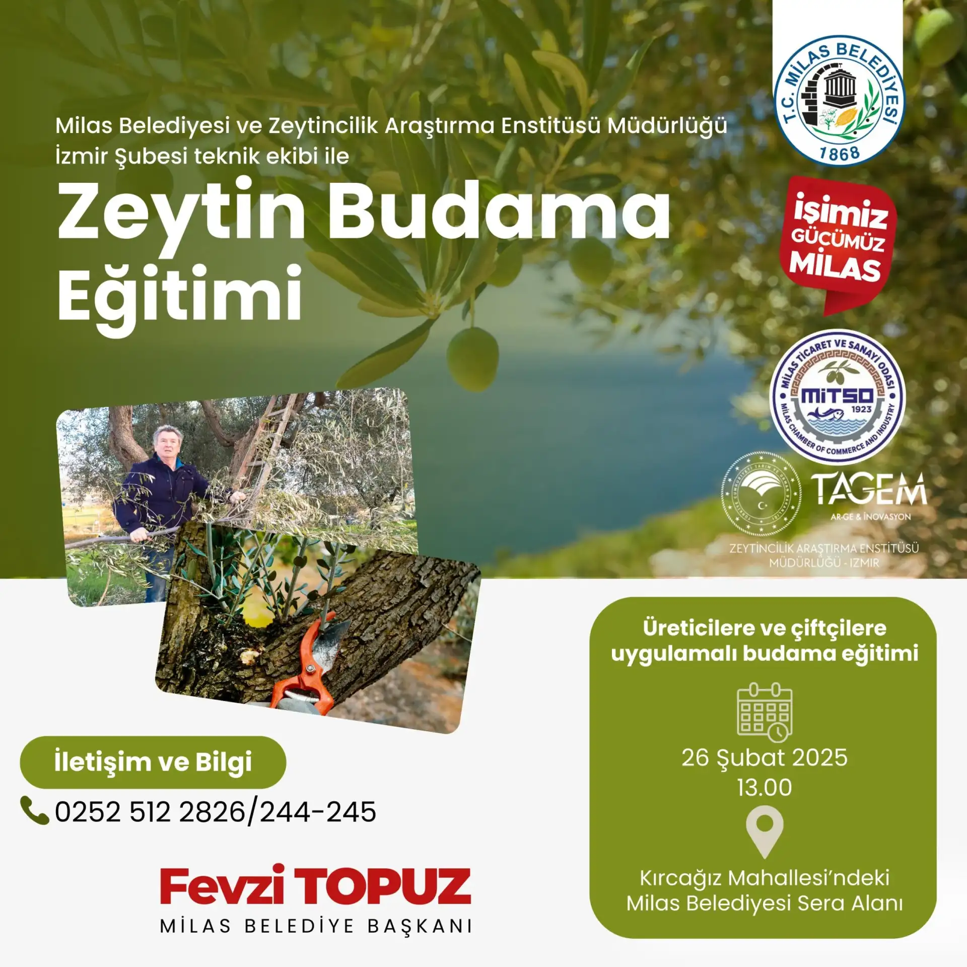 Üreticilerimize Zeytin Budama Eğitimi!