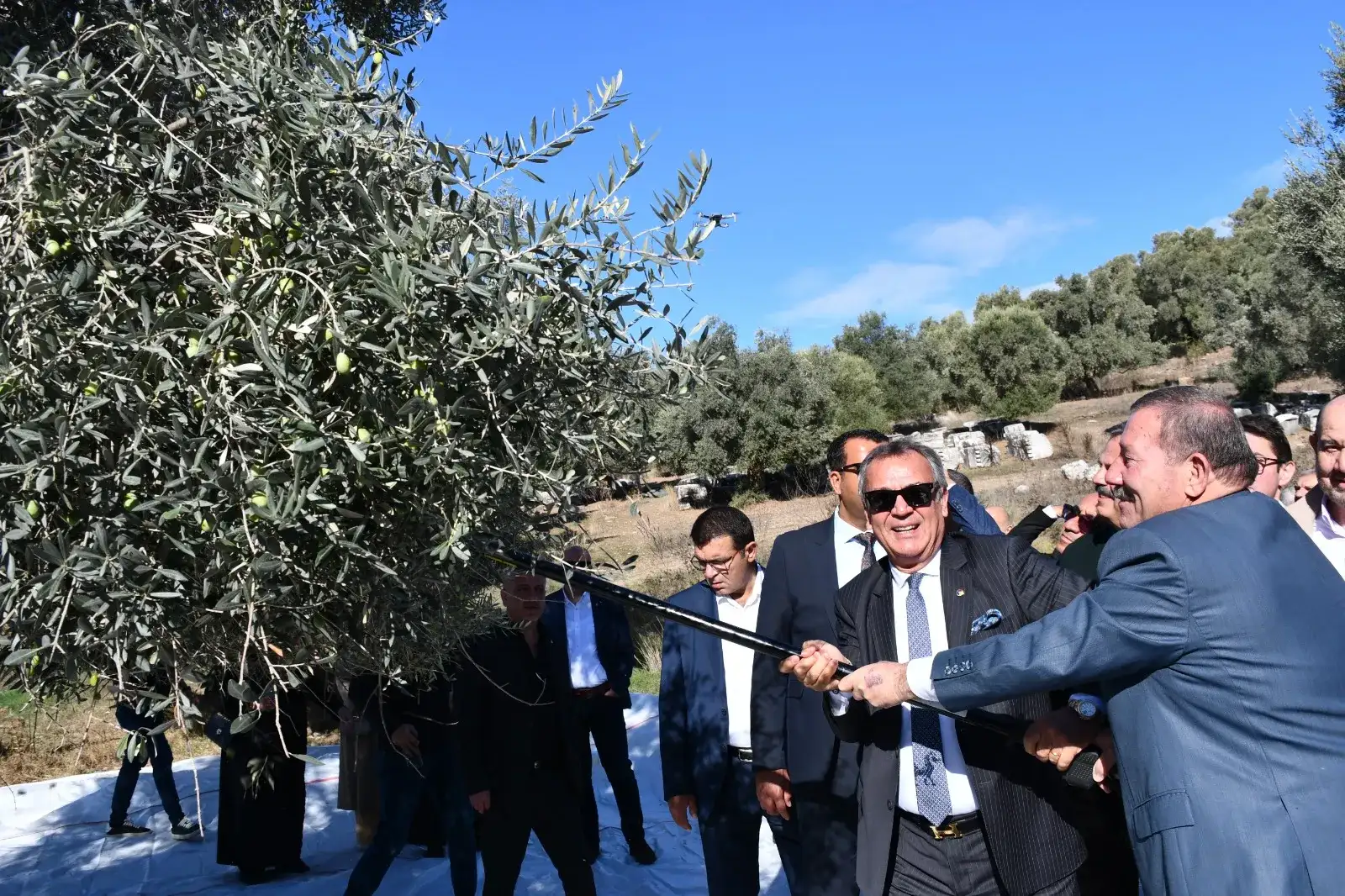 11. Uluslararası Milas Zeytin Hasat Şenliği Coşkuyla Tamamlandı - 1