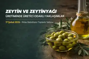 Zeytin ve Zeytinyağı Üretiminde Üretici Odaklı Yaklaşımlar Milas’ta Ele Alınacak