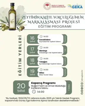 Zeytinin Kalite Yolculuğunun Markalaşması Projesi Milas’ta Devam Ediyor